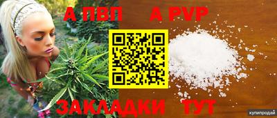 гидра Камышлов